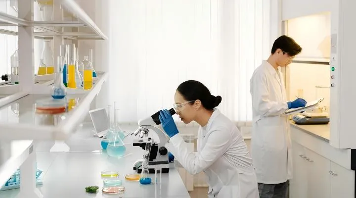 전문 R&D 팀